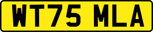 WT75MLA