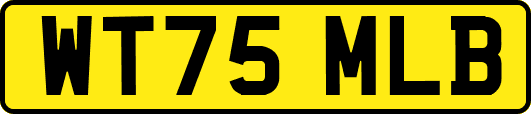 WT75MLB