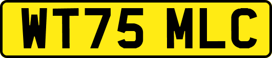 WT75MLC