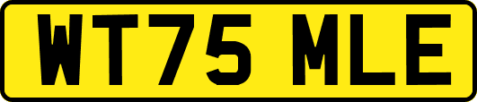 WT75MLE