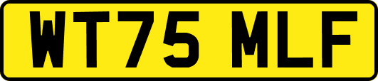 WT75MLF