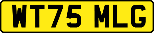 WT75MLG