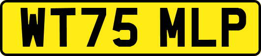 WT75MLP