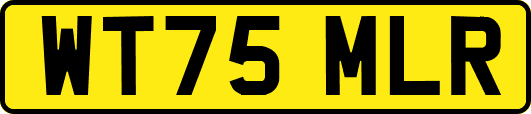 WT75MLR