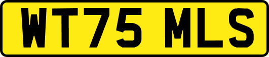 WT75MLS