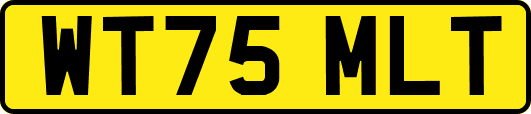 WT75MLT