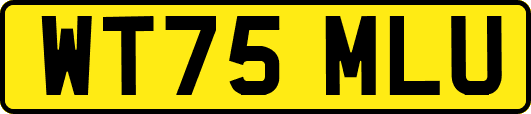 WT75MLU