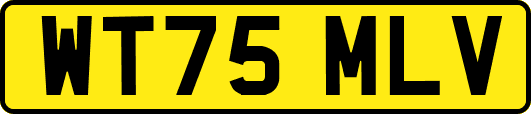 WT75MLV