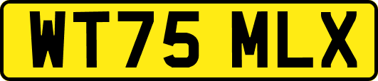 WT75MLX