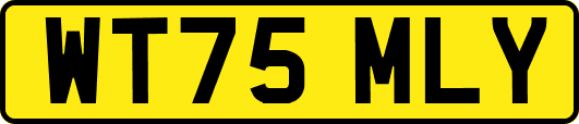 WT75MLY