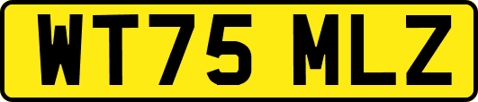 WT75MLZ