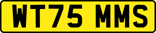 WT75MMS