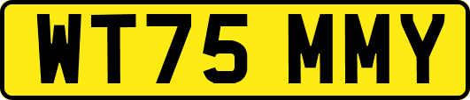 WT75MMY