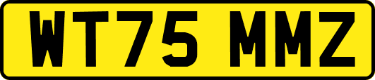 WT75MMZ