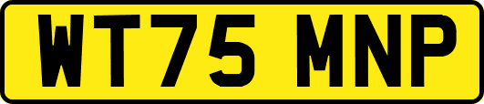 WT75MNP