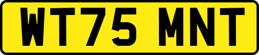 WT75MNT
