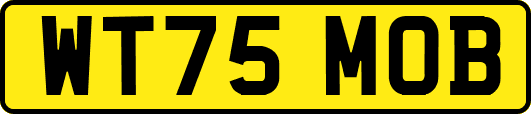 WT75MOB