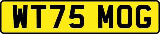 WT75MOG