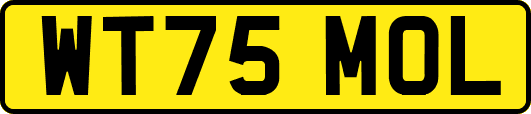 WT75MOL