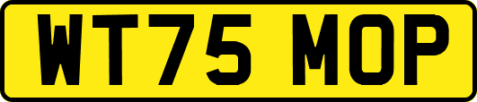 WT75MOP