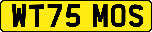 WT75MOS