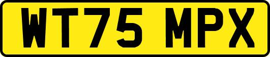 WT75MPX