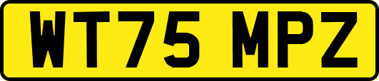 WT75MPZ
