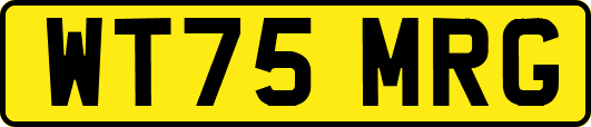 WT75MRG