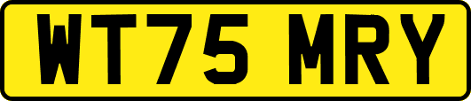 WT75MRY