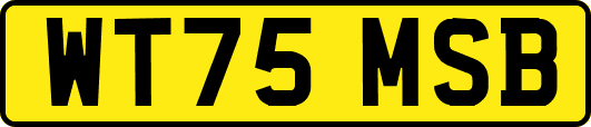 WT75MSB