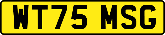 WT75MSG
