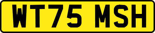 WT75MSH