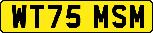 WT75MSM