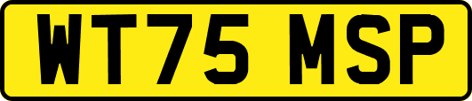 WT75MSP