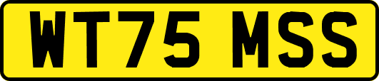 WT75MSS
