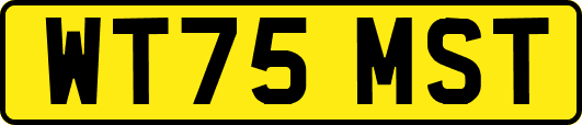 WT75MST
