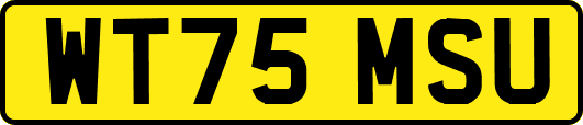 WT75MSU
