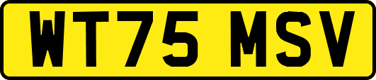 WT75MSV