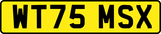 WT75MSX
