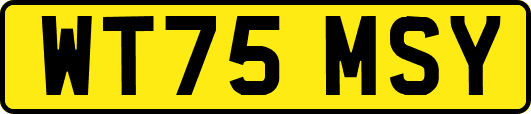 WT75MSY