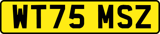 WT75MSZ
