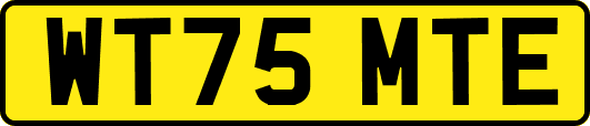 WT75MTE