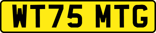 WT75MTG