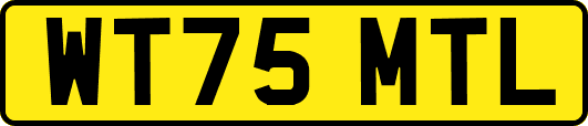 WT75MTL
