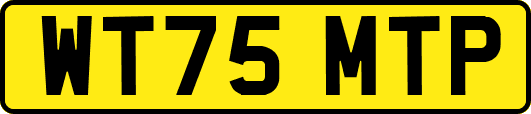 WT75MTP