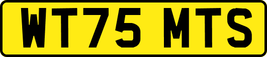 WT75MTS