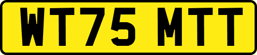 WT75MTT
