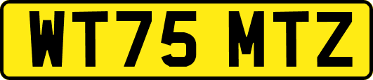 WT75MTZ