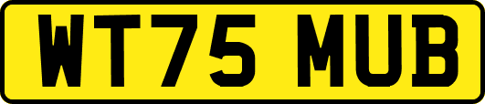 WT75MUB
