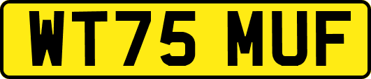 WT75MUF
